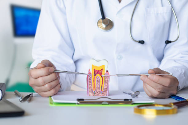 Best Tooth Infection Emergency Dentist  in Kitty Hawk, NC